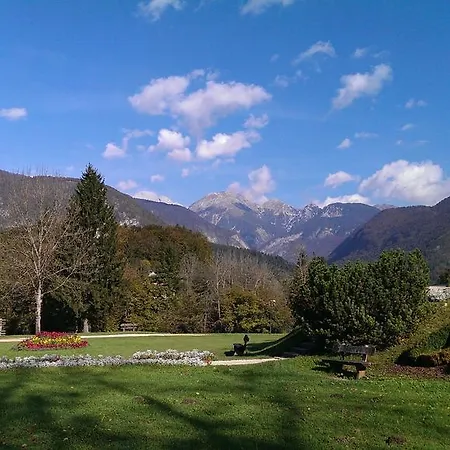 Sodja