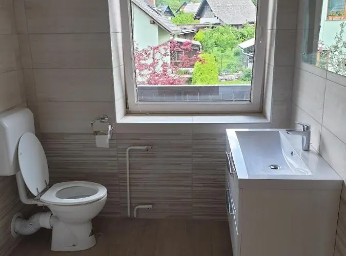 Sodja Nastanitev v družini Bohinj